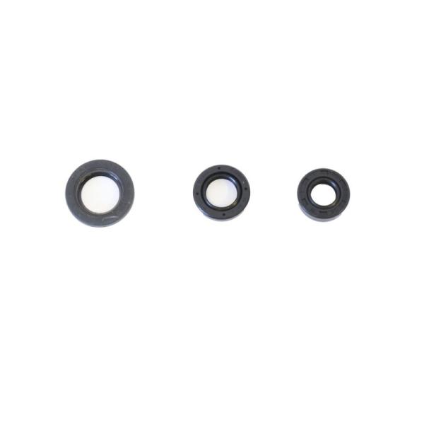 ATH Engine Oil Seal Kits Athena P400210400304