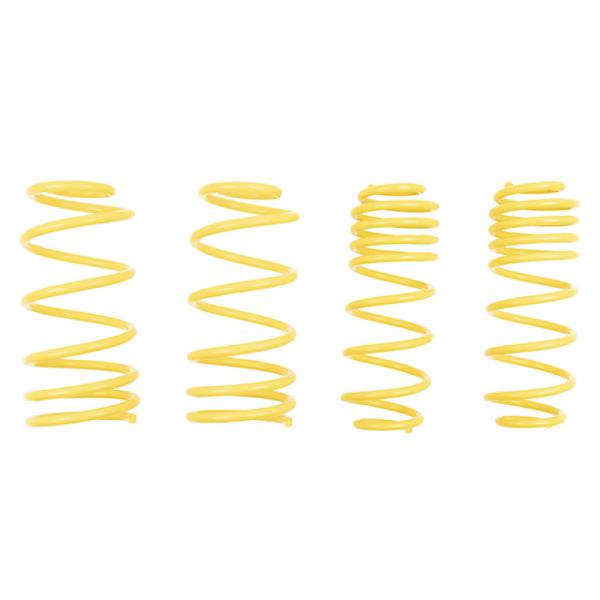 ST Suspensions 66208