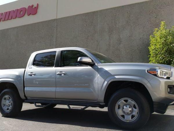 Go Rhino D24429T