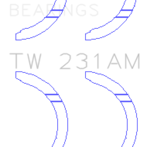 King Engine Bearings TW231AM