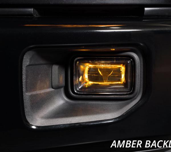 Diode Dynamics DD5174P