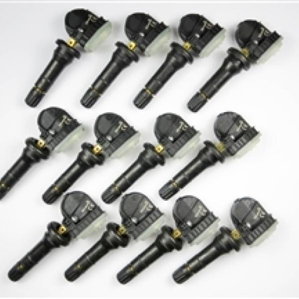 Schrader 33500B