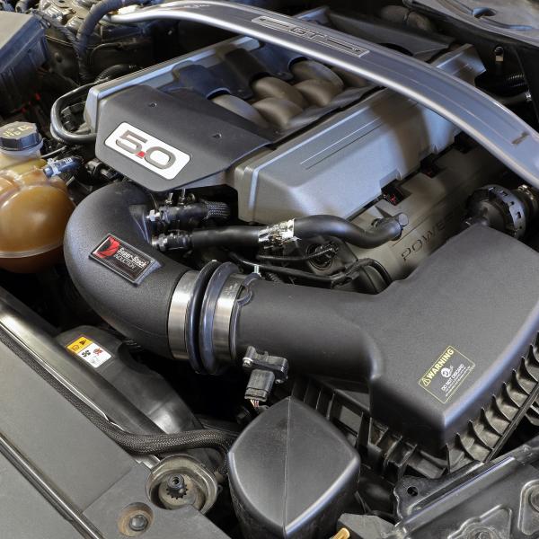 aFe 55-10004R