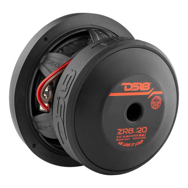 DS18 ZR6.2D