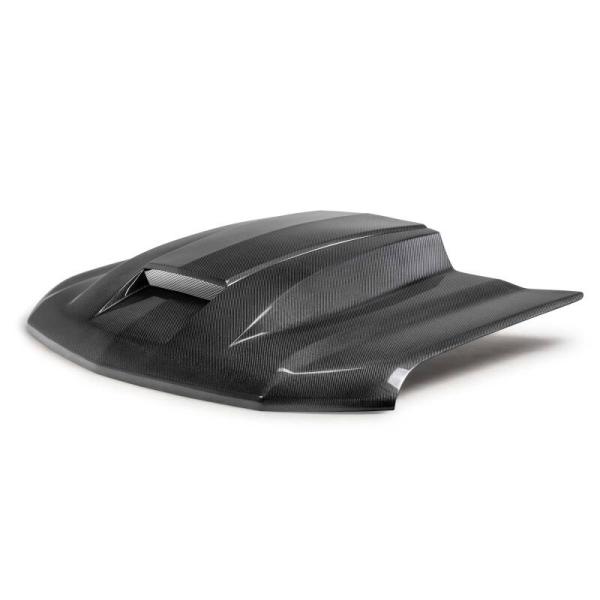 Anderson Composites AC-HD20CHSV-CP