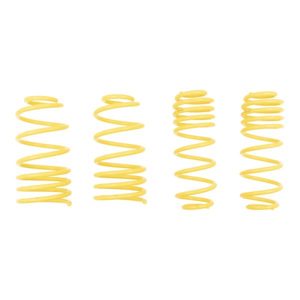 ST Suspensions 66206