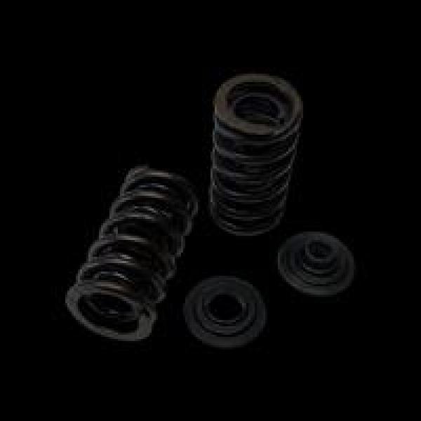 BC Spring & Retainer Kits Brian Crower BC0950