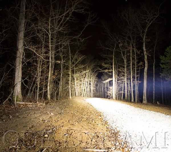 Diode Dynamics DD5018