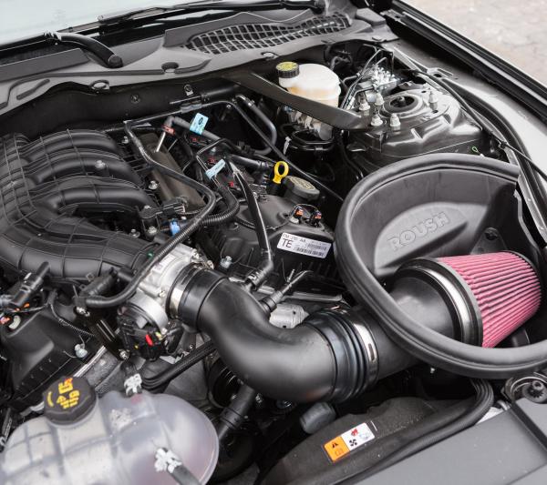 Roush 421828