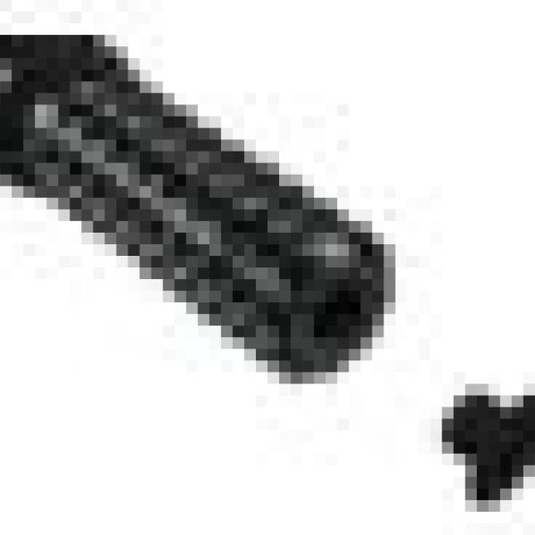 Vortex Racing RSP06AK