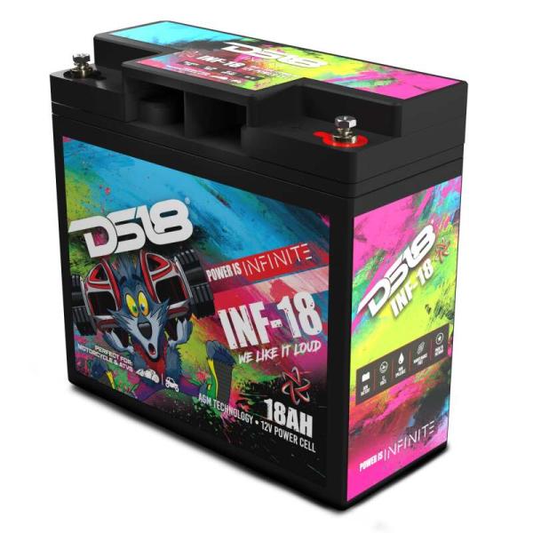 DS18 INF-18