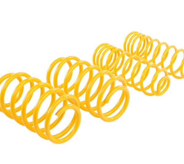 STS Lowering Springs ST Suspensions 28230195