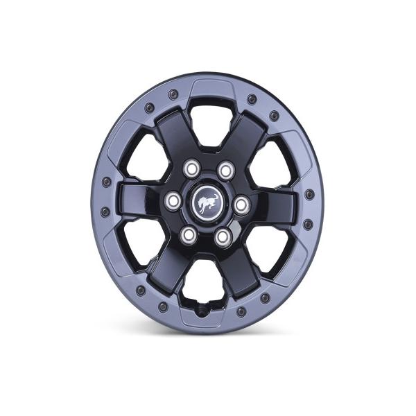 Ford Racing M-1007-DC17B