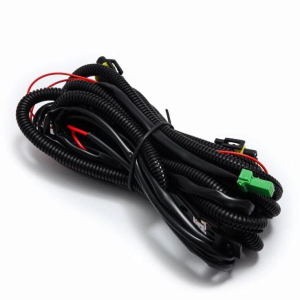 AlphaRex 211005