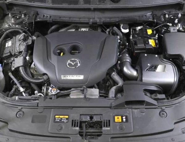 AEM Induction 21-861C