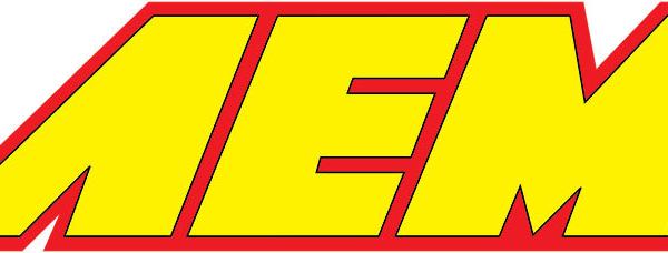 AEM Induction 29-0005