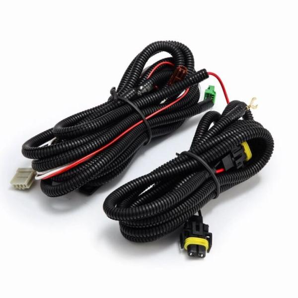 AlphaRex 211002