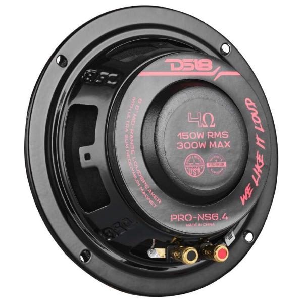 DS18 PRO-NS6.4