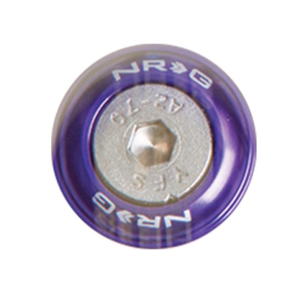 NRG FW-110PP