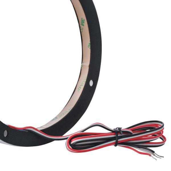 DS18 DLRING6