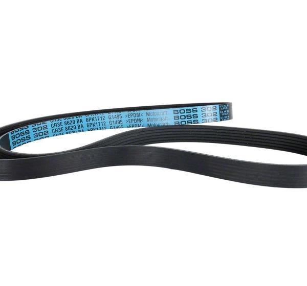 Ford Racing M-8600-M50ALTA