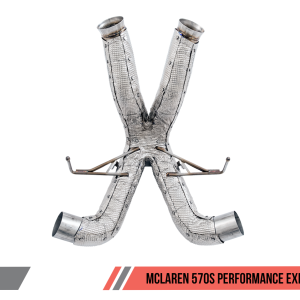 AWE Tuning 3010-31001