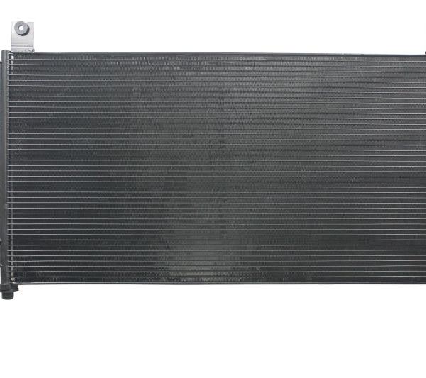 CSF 10724