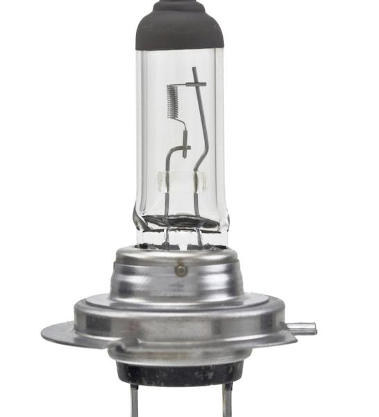 Hella H7 100WTB
