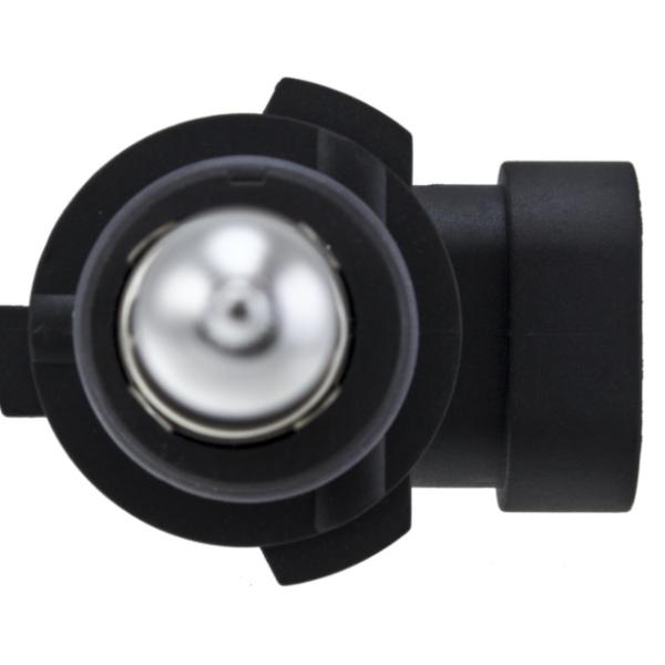 HELLA Halogen Bulb Hella H71071432