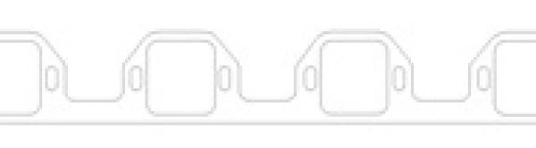 CG Intake Gaskets Cometic Gasket C5598-094
