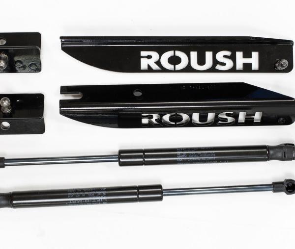 Roush 421236