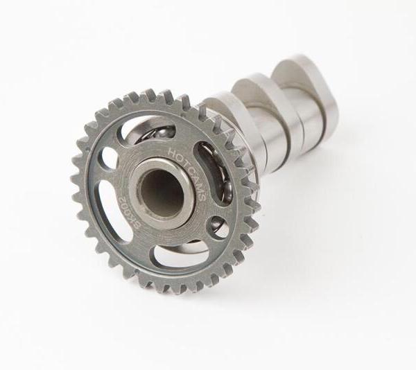 Hot Cams 4002-1IN