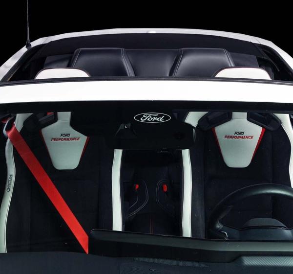 Ford Racing M-63660005-MG