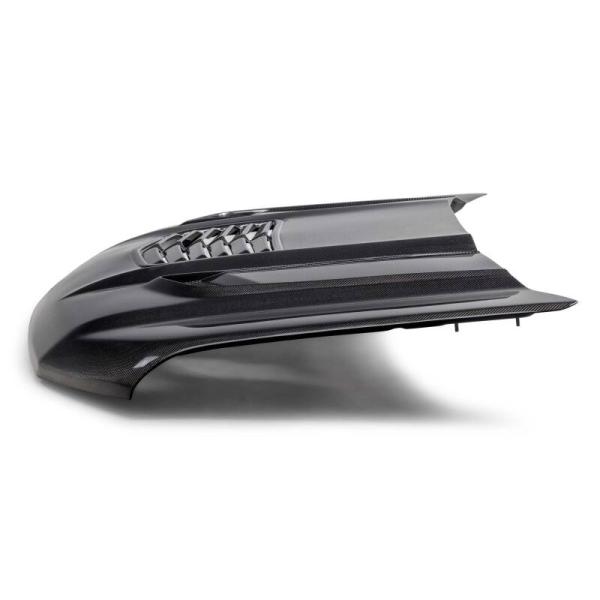 Anderson Composites AC-HD20CHSV-T2