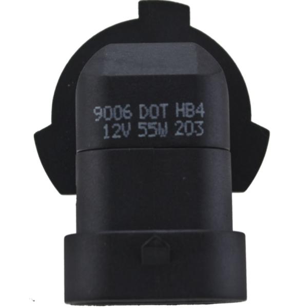 HELLA Halogen Bulb Hella H71071432