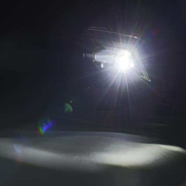 AlphaRex 210017