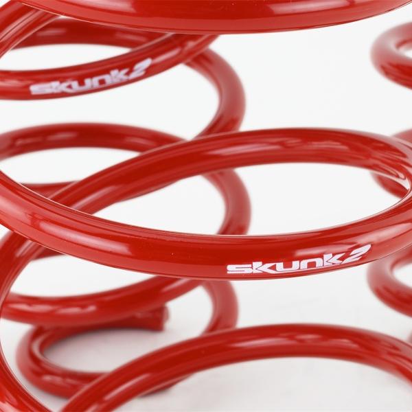 SK Lowering Springs Skunk2 Racing 519-05-1775