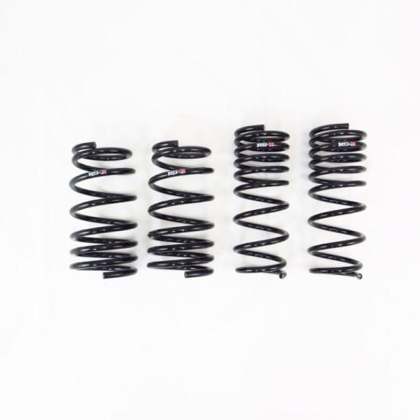 RS-R F067S