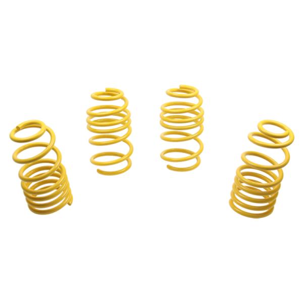 ST Suspensions 60122