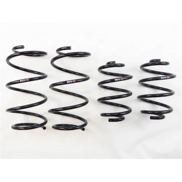 RSR Down Sus Springs RS-R N205D