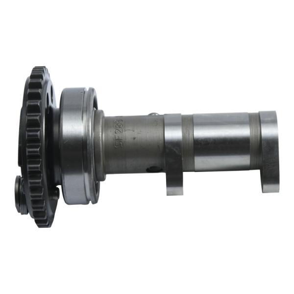 Hot Cams 4289-2E