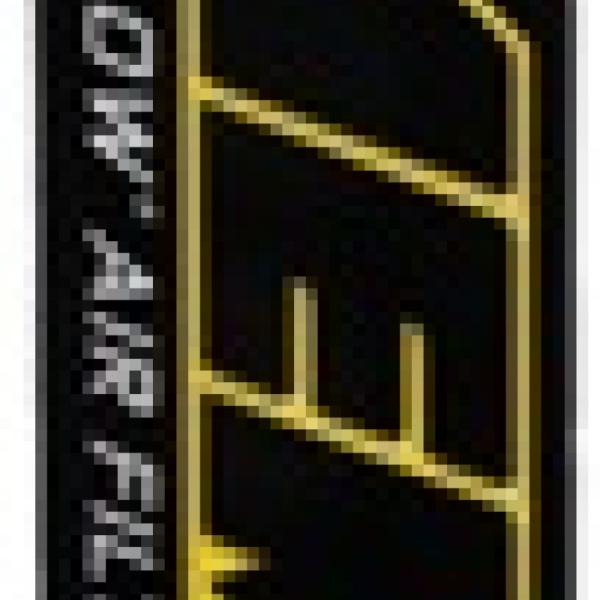 AEM Induction 28-20945