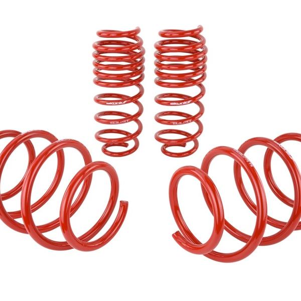 SK Lowering Springs Skunk2 Racing 519-05-1775