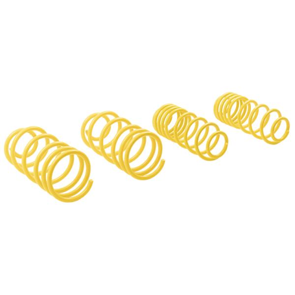 ST Suspensions 66208