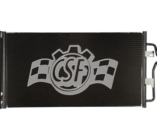 CSF 10617