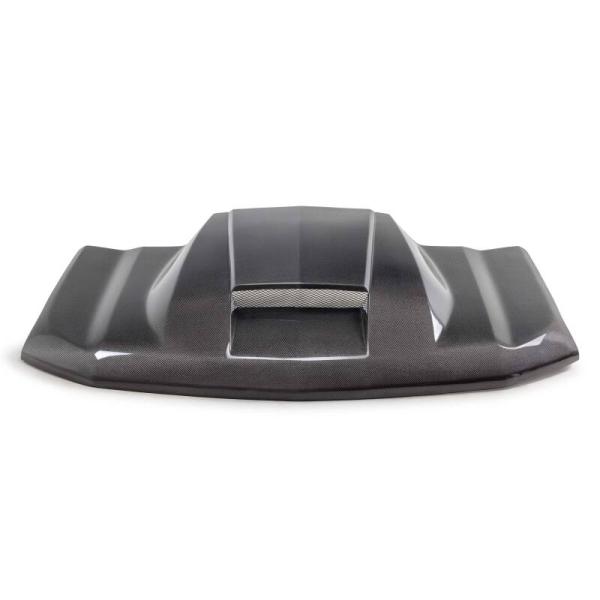 Anderson Composites AC-HD20CHSV-CP