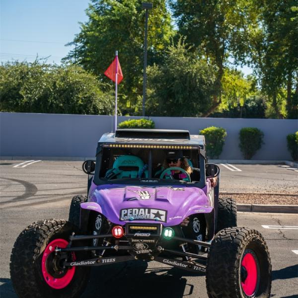 Rigid Industries 36117-SHREDDY