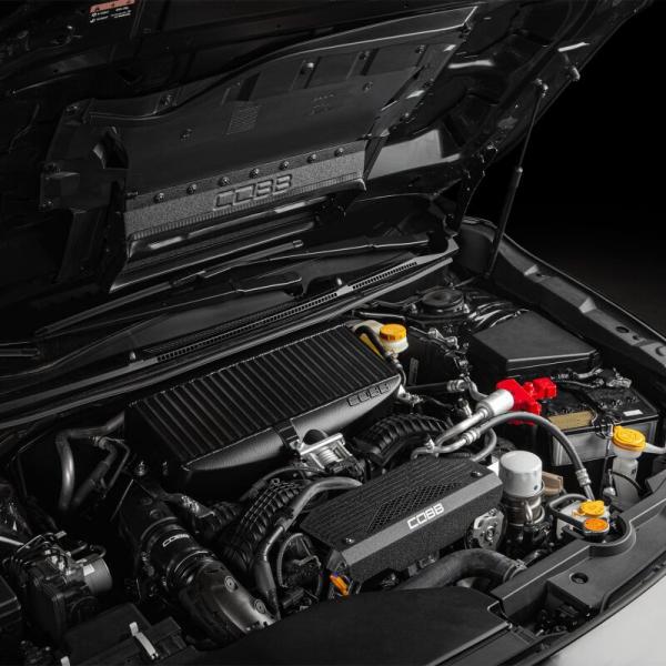 COBB 446600
