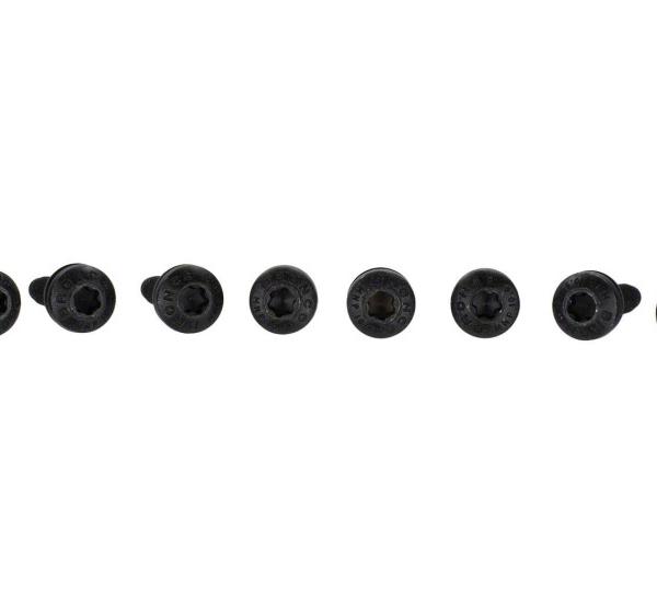 Ford Racing M-19008-BTDG