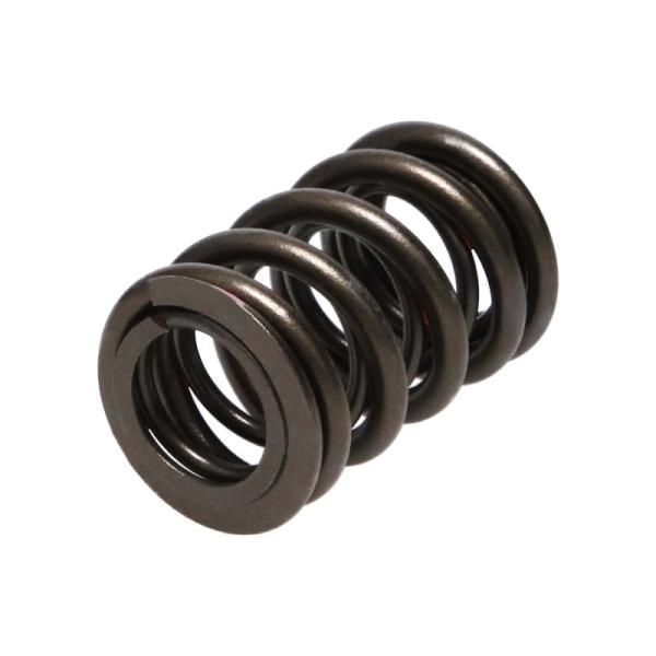 MAN Valve Spring Kits Manley Performance 22110-16